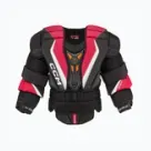 Výstroj pre hokejového brankára