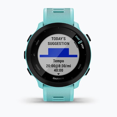 Hodinky Garmin Forerunner 55 modré 010-02562-12