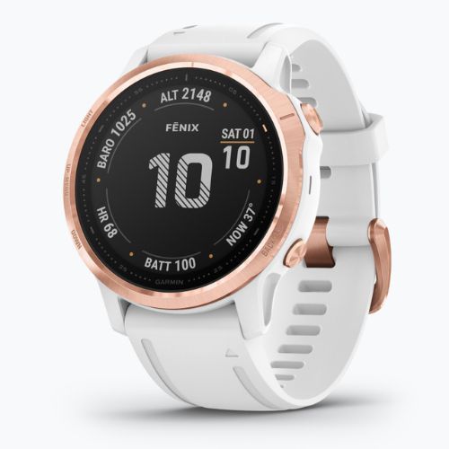 Hodinky Garmin Fenix 6S Pro white 010-02159-11
