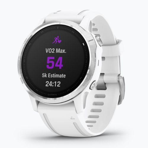 Hodinky Garmin Fenix 6S white 010-02159-00
