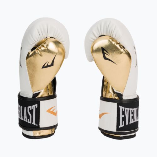 Pánske boxerské rukavice EVERLAST Powerlock Pu white 2200