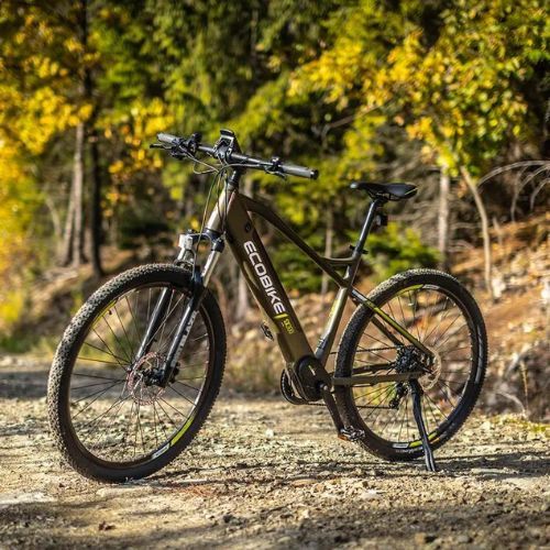 Ecobike SX300/X300 LG elektrický bicykel 14Ah zelený 1010404