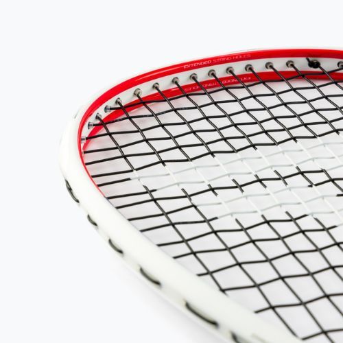 Squashová raketa Tecnifibre Carboflex 125 Airshaft white 12CAR12519