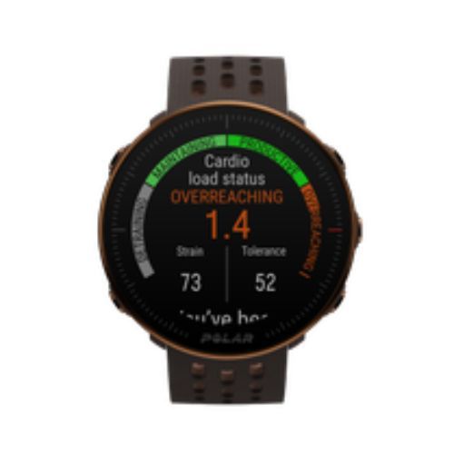 Hodinky Polar Vantage M2 Brown