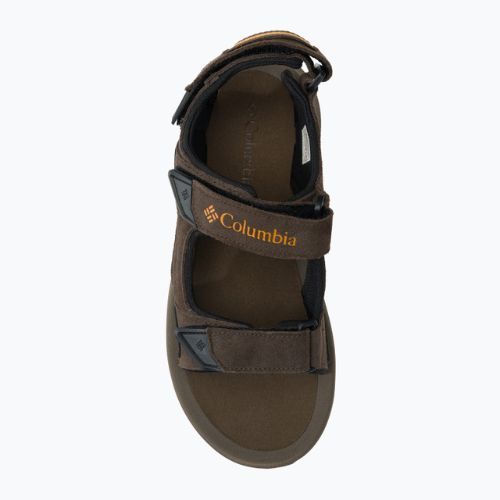 Columbia Trailstorm Hiker 3 Strap 231 hnedé pánske trekové sandále 1987221