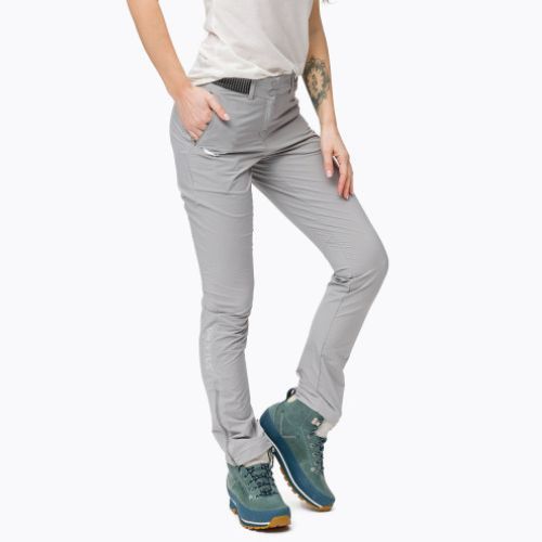 Dámske softshellové nohavice Salewa Pedroc 3 DST sivá 00-0000026956