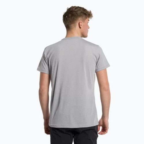 Pánske trekingové tričko Salewa Solidlogo Dry grey 00-0000027018