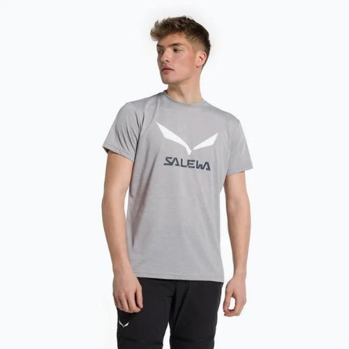 Pánske trekingové tričko Salewa Solidlogo Dry grey 00-0000027018