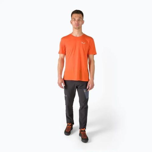 Pánske trekingové tričko Salewa Alpine Hemp Logo orange 00-0000028132