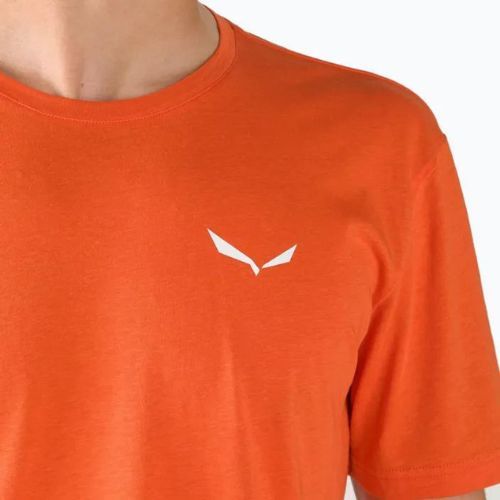 Pánske trekingové tričko Salewa Alpine Hemp Logo orange 00-0000028132
