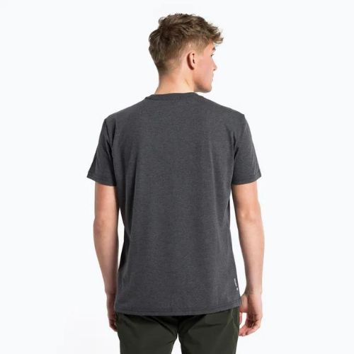 Pánske trekingové tričko Salewa Pure Box Dry grey 00-0000028378