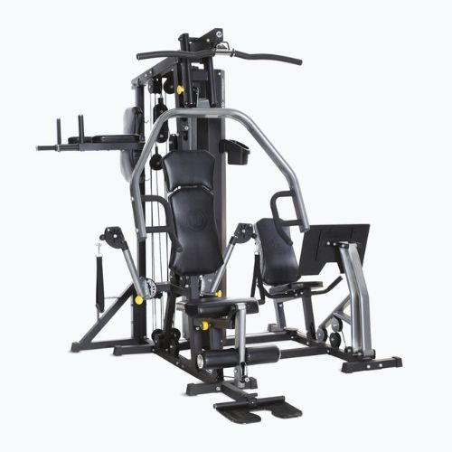 Atlas Horizon Fitness Torus 5 1755