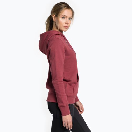 Dámska trekingová mikina The North Face Drew Peak Pullover Hoodie wild ginger NF0A55EC6R41