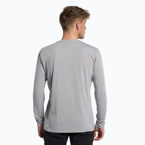 Pánske trekingové tričko Salewa Solidlogo Dry grey 00-0000027340