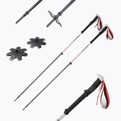 Lyžiarske palice Black Diamond Expedition 2 čierne BD11158900001451