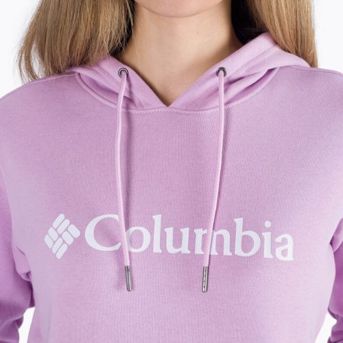 Dámska trekingová mikina Columbia Logo purple 1895751