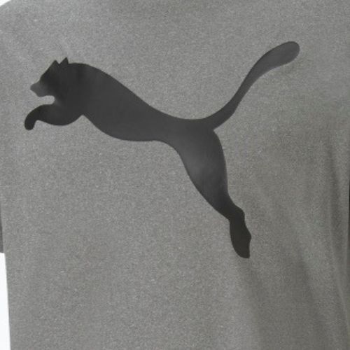 Pánske tréningové tričko PUMA Active Big Logo Tee sivé 586724 09