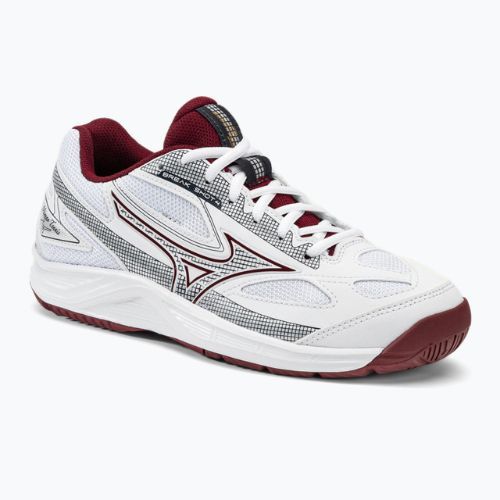 Dámska tenisová obuv Mizuno Break Shot 4 AC white 61GA232664