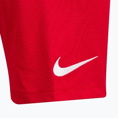 Pánske tréningové šortky Nike Dri-Fit Park III červené BV6855-657