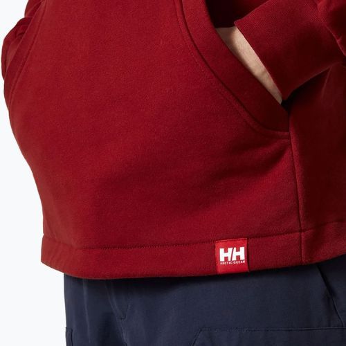 Pánska mikina Helly Hansen Arctic Ocean Hoodie burgundy 30361_215