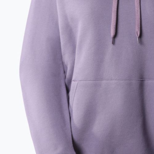 Dámska trekingová mikina The North Face Outdoor Graphic Hoodie Light purple NF0A827LN141