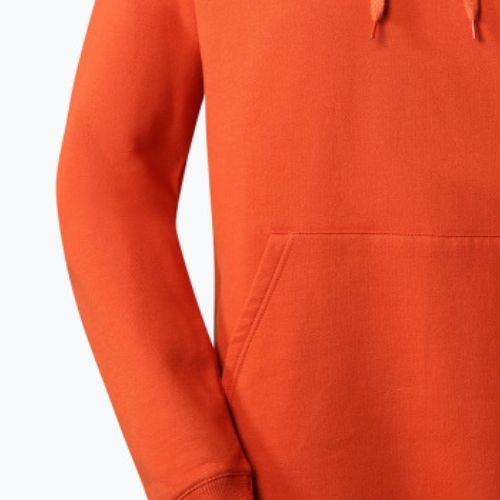 Pánska trekingová mikina The North Face Outdoor Graphic Hoodie Light orange NF0A827ILV41