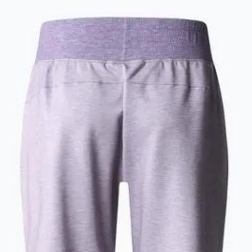 Dámske trekingové nohavice The North Face Juniper Basin Jogger purple NF0A7WSQN581