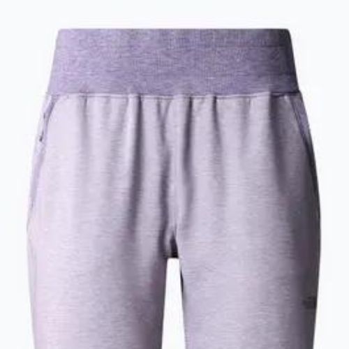 Dámske trekingové nohavice The North Face Juniper Basin Jogger purple NF0A7WSQN581