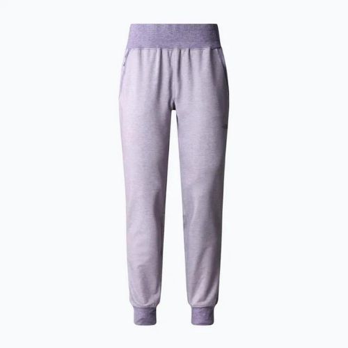 Dámske trekingové nohavice The North Face Juniper Basin Jogger purple NF0A7WSQN581