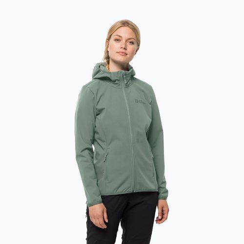 Dámska softshellová bunda Jack Wolfskin Bornberg Hoody green 1307691