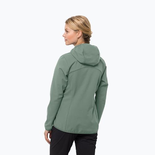 Dámska softshellová bunda Jack Wolfskin Bornberg Hoody green 1307691