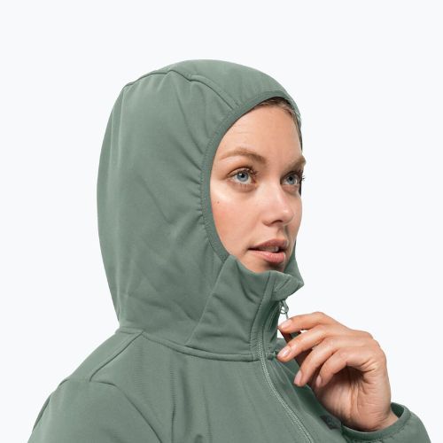 Dámska softshellová bunda Jack Wolfskin Bornberg Hoody green 1307691