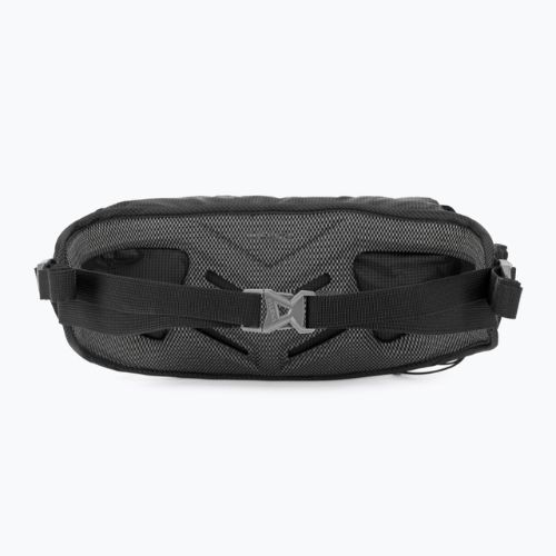 Ľadvinka  Salewa Lite Train Hipbelt black