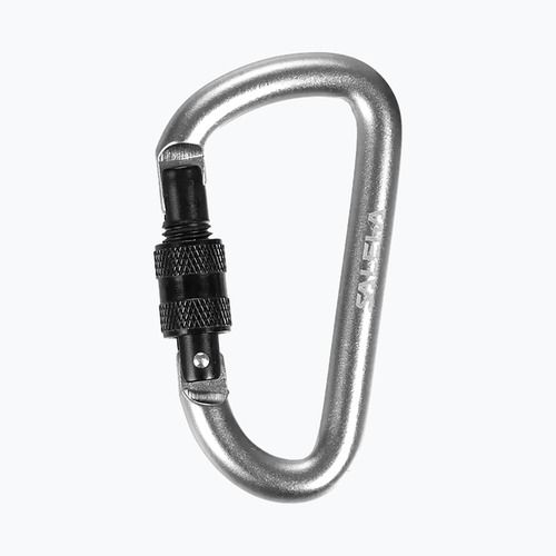 Salewa D-Shape Carbiner With Screw silver 00-0000034102