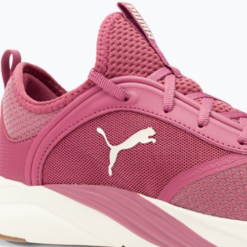Dámska bežecká obuv PUMA Softride Ruby pink 377050 04
