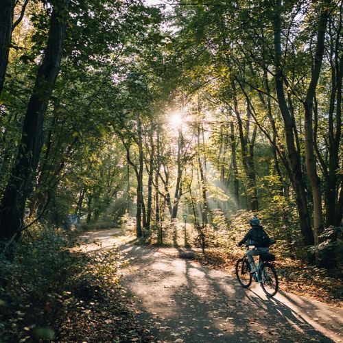 Dámsky trekingový bicykel Kellys Cristy 40 fialový 72344