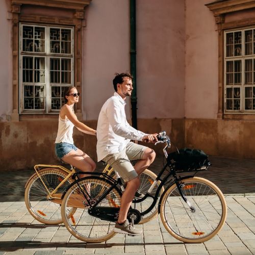 Kellys Royal Dutch 460 mestský bicykel čierny 72362