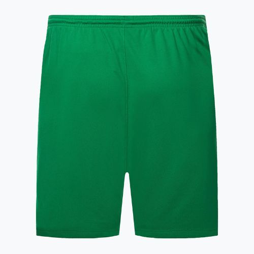 Pánske futbalové šortky Nike Dry-Fit Park III green BV6855-302