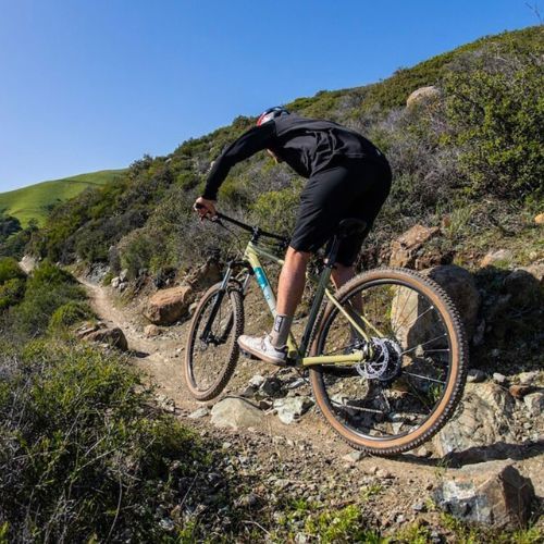 Marin Bobcat Trail 4 29 horský bicykel hnedý A-1468G-G2-17