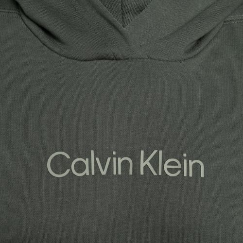 Pánska mikina Calvin Klein Hoodie LLZ urban classic