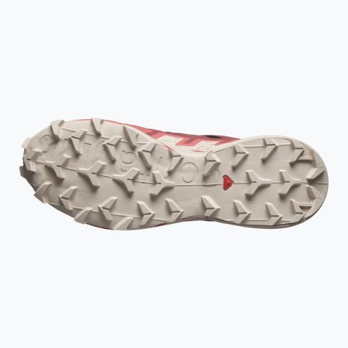 Dámska bežecká obuv Salomon Speedcross 6 GTX black/cow hide/faded rose