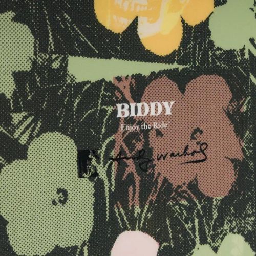 Dámsky snowboard DC AW Biddy in bloom