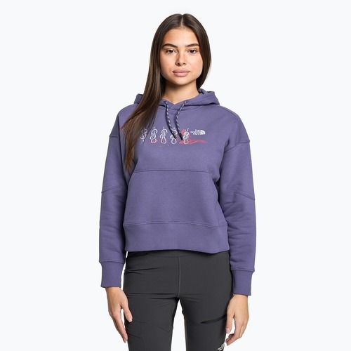 Dámska mikina The North Face Outdoor Graphic Hoodie cave blue