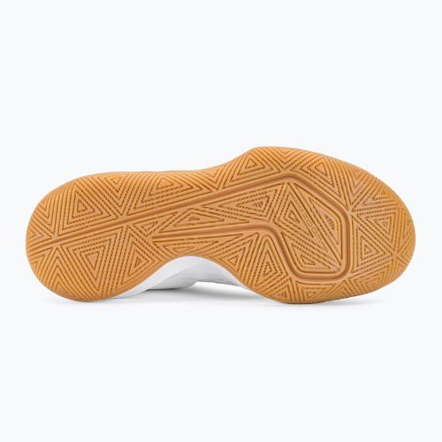 Tenisky na volejbal Nike Zoom Hyperspeed Court SE biele/metalická strieborná guma