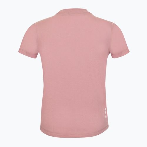 Detské trekingové tričko Salewa Graphic Dry zephyr