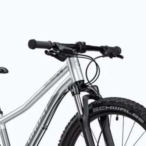 Detský bicykel GHOST Kato 24 Full Party strieborný chróm/tmavý strieborný chróm lesklý