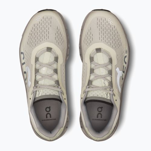 Pánska bežecká obuv On Cloudmonster ice/alloy