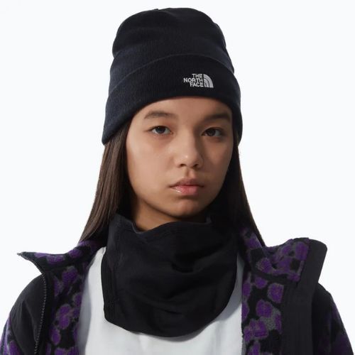 Pánska trekingová čiapka The North Face Norm Beanie black