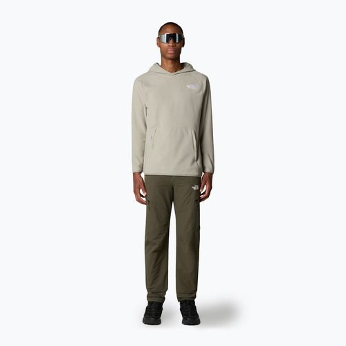 Pánska mikina The North Face 100 Glacier Hoodie clay grey
