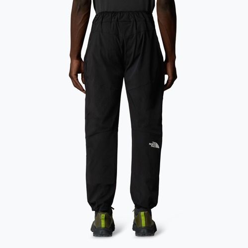 Pánske trekové nohavice The North Face Alpine Ridge Regular Tapered black/npf